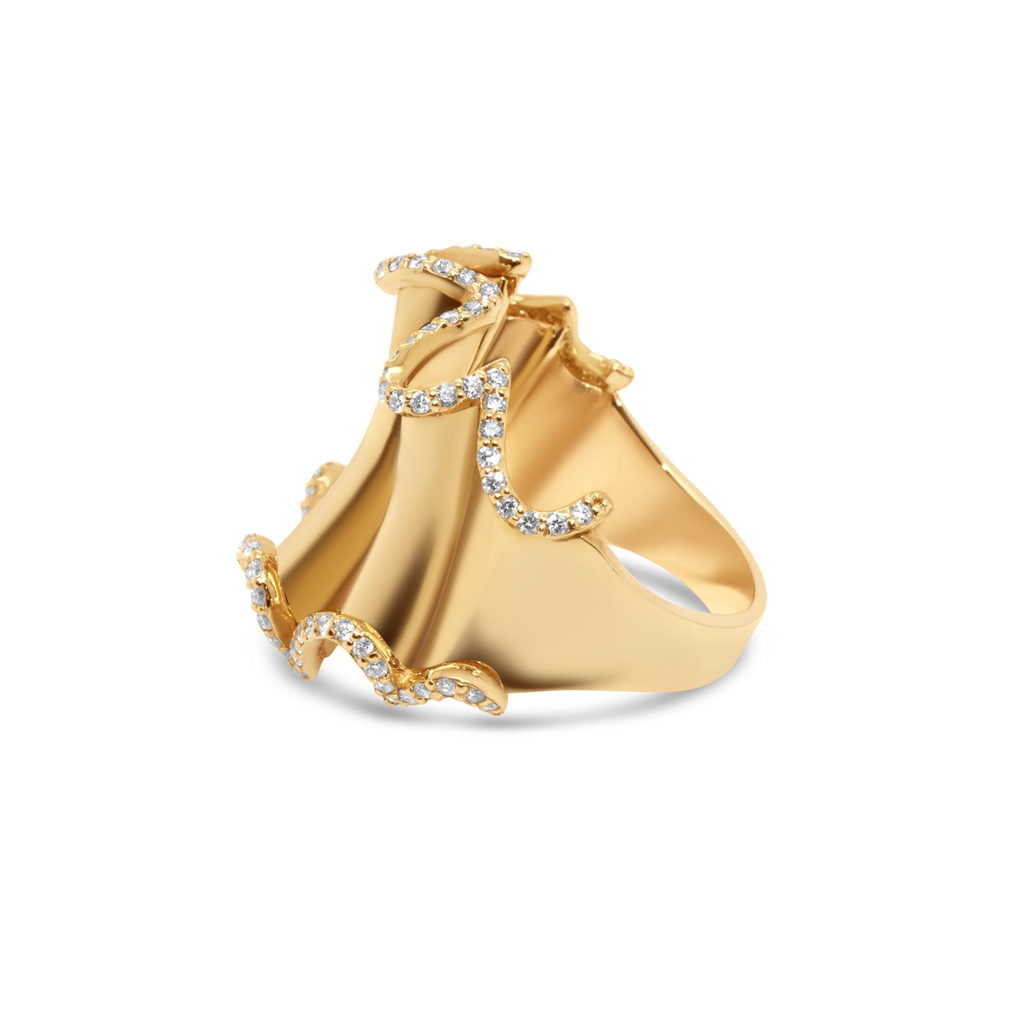 ARENI Wavy Ring